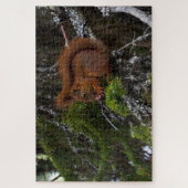 Red Squirrel Jigsaw Puzzle (Vertikal)