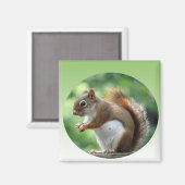 Red Squirrel Magnet (Vorderseite/Rückseite)