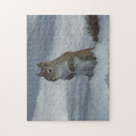 Red Squirrel Puzzle