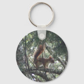 Red Squirrel Schlüsselanhänger #2 (Vorderseite)