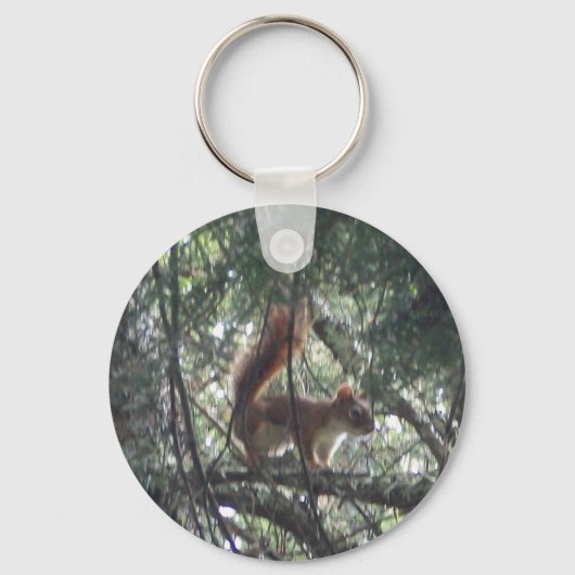 Red Squirrel Schlüsselanhänger #2 (Vorderseite)