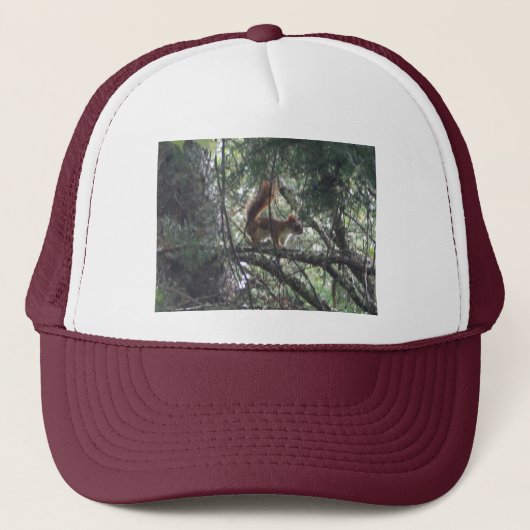 Red Squirrel Trucker Hat Truckerkappe (Vorderseite)