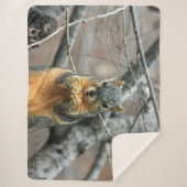 RED SQUIRRL SHERPADECKE (Vorderseite)