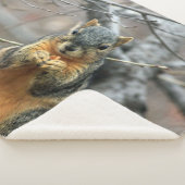 RED SQUIRRL SHERPADECKE (3/4)