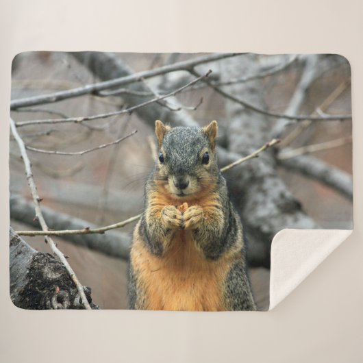 RED SQUIRRL SHERPADECKE (Vorderseite (Horizontal))