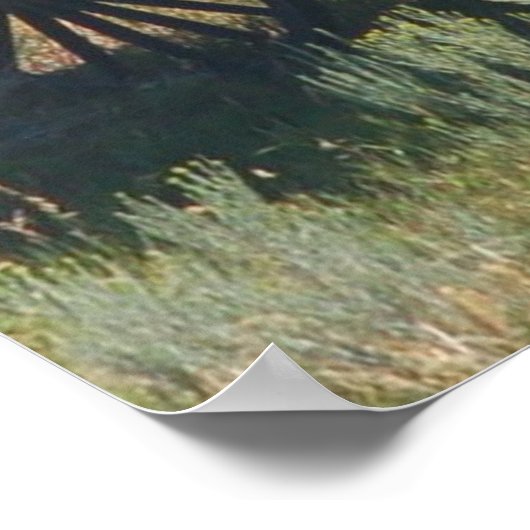 Red Stagecoach Funny Poster (Ecke)