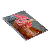 Red Star Chicken Hen Foto Notizblock (Rechte Seite)