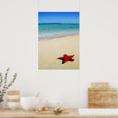 Red Starfish am weißen Sandstrand Poster (Küche)