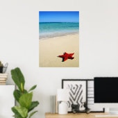 Red Starfish am weißen Sandstrand Poster (Heimbüro)
