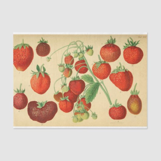Red Strawberry Ephemera Decoupage Seidenpapier (Vorderseite)