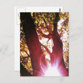 Red Sun Glare Postkarte (Vorne/Hinten)