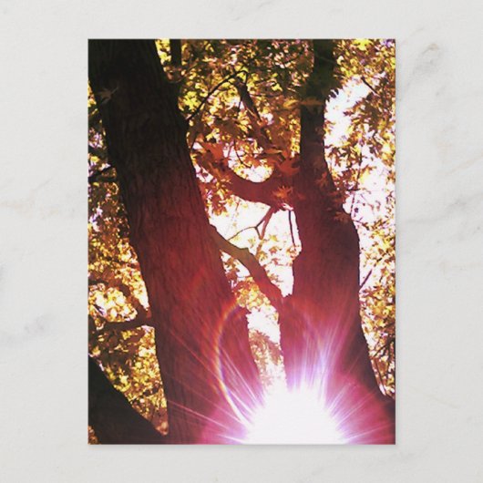 Red Sun Glare Postkarte (Vorderseite)