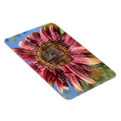 Red Sunflower Calendar Magnet (Rechte Seite)