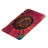 Red Sunflower Magnet (Linke Seite)