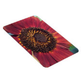 Red Sunflower Magnet (Rechte Seite)