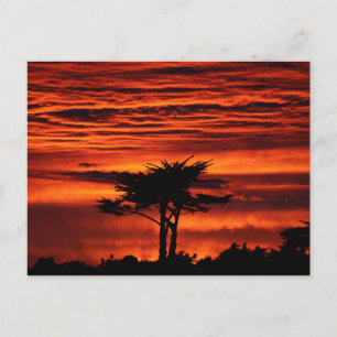 Red Sunset, Santa Cruz Kalifornien Postkarte