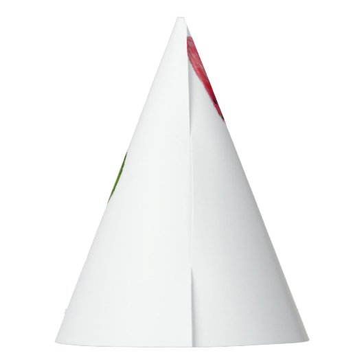 Red Sweet Juicy Watermelon Pieces - Frische Pasta Partyhütchen (Rückseite)