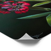 Red Sweet William Blume Art Print Poster (Ecke)