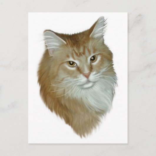 Red Tabby Maine Coon Postkarte (Vorderseite)
