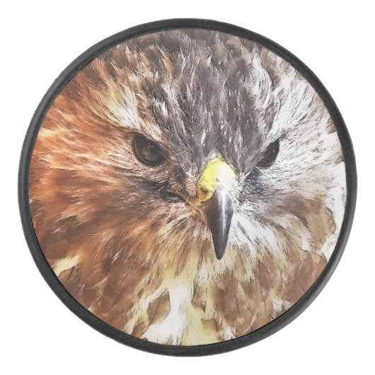 RED TAED HAWK EISHOCKEY PUCK (Vorderseite)