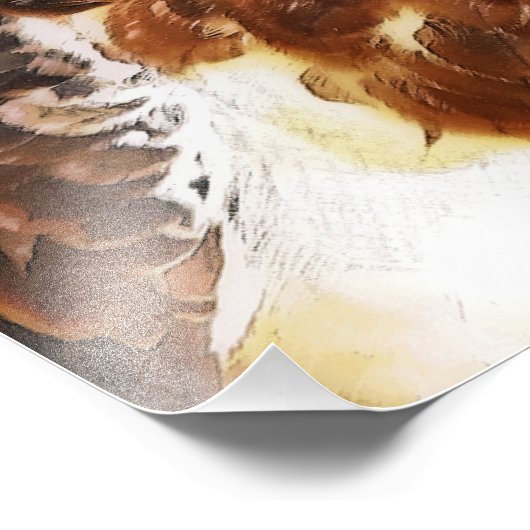 RED TAED HAWK FOTODRUCK (Ecke)