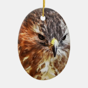 RED TAED HAWK KERAMIK ORNAMENT
