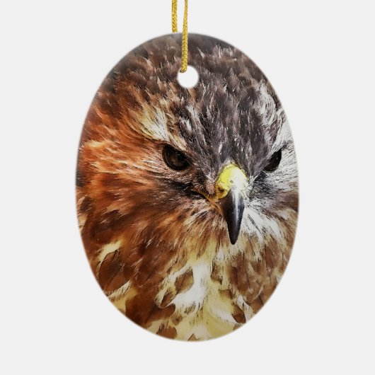 RED TAED HAWK KERAMIK ORNAMENT (Hinten)