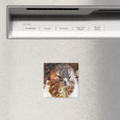 RED TAED HAWK MAGNET (In Situ (Geschirrspüler))