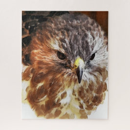 RED TAED HAWK PUZZLE