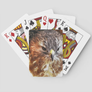 RED TAED HAWK SPIELKARTEN