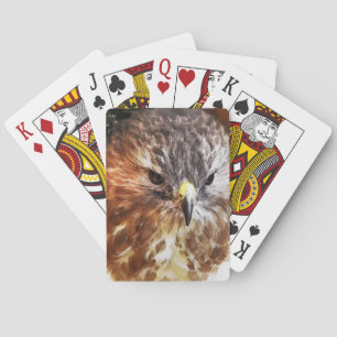 RED TAED HAWK SPIELKARTEN