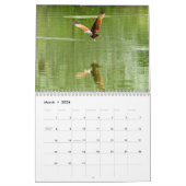 Red Tail Hawk 2025 Kalender (Mär 2026)