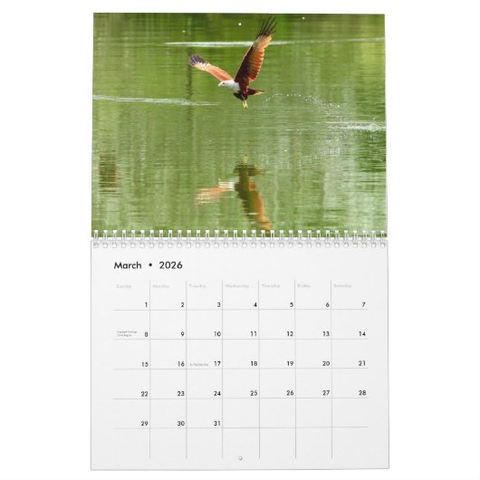 Red Tail Hawk 2025 Kalender (Mär 2026)