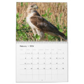 Red Tail Hawk 2025 Kalender (Feb 2026)