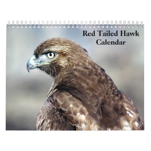 Red Tail Hawk 2025 Kalender (Titelbild)