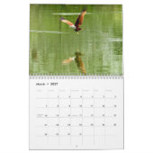 Red Tail Hawk 2025 Kalender (Mär 2027)