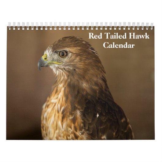 Red Tail Hawk 2025 Kalender (Titelbild)