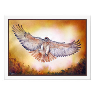 Red Tail Hawk Aquarellmalerei Fotodruck