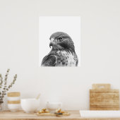 Red Tail Hawk Bird Portrait Schwarz-weiß Poster (Küche)