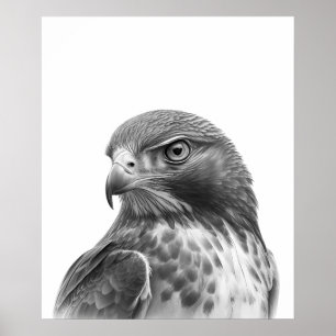 Red Tail Hawk Bird Portrait Schwarz-weiß Poster