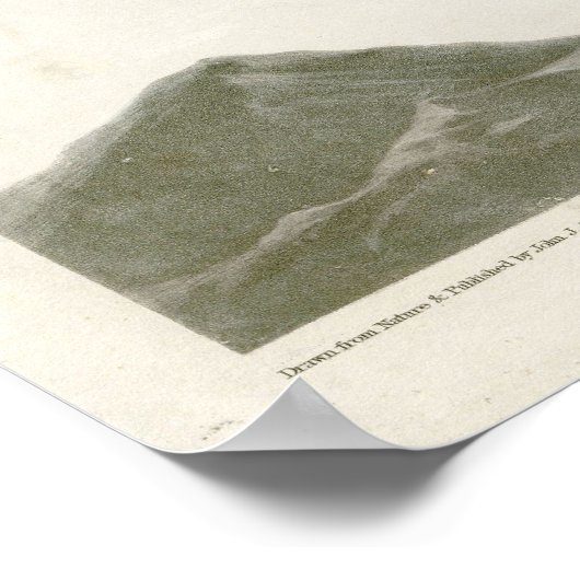 Red Tail Hawk Birds of America von James Audubon Poster (Ecke)