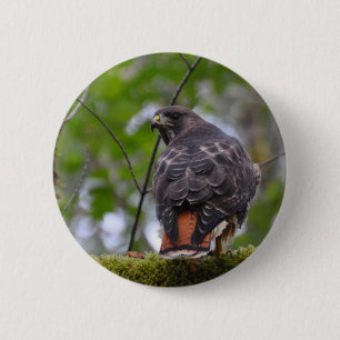 Red-Tail Hawk Button