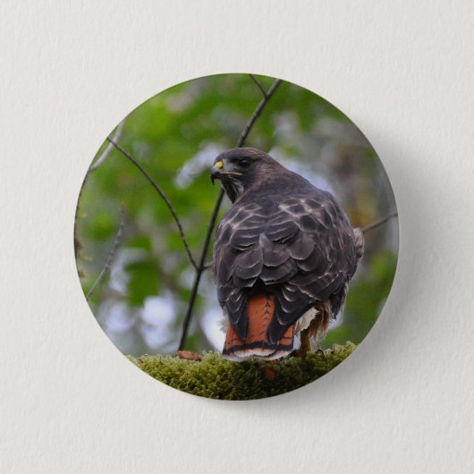 Red-Tail Hawk Button (Vorderseite)