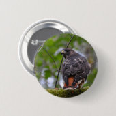 Red-Tail Hawk Button (Vorne & Hinten)