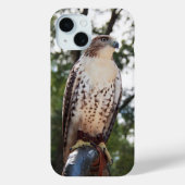 Red-Tail Hawk Case-Mate iPhone Hülle (Rückseite)