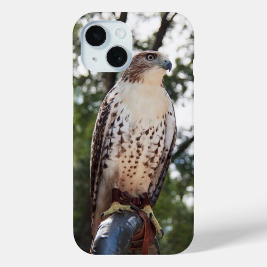 Red-Tail Hawk Case-Mate iPhone Hülle (Rückseite)