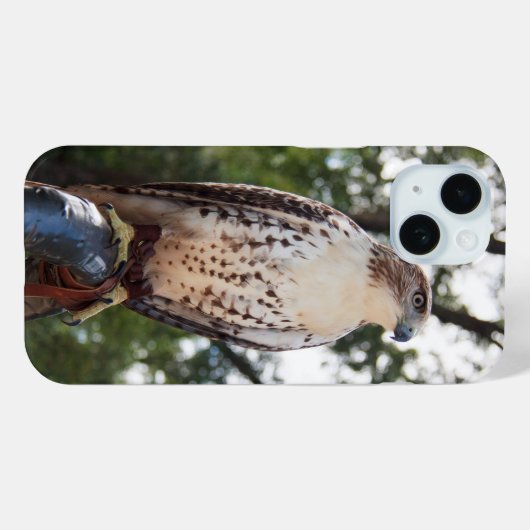 Red-Tail Hawk Case-Mate iPhone Hülle (Rückseite (Horizontal))