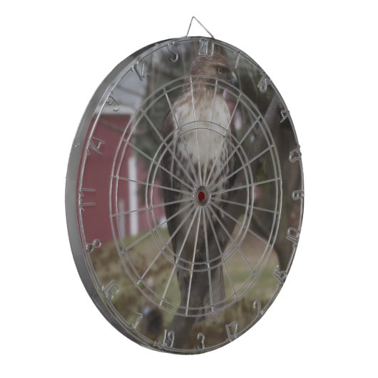 Red-Tail-Hawk-Dart-Board Dartscheibe (Vorderseite Links)