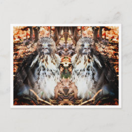 Red Tail Hawk Doubled Postkarte