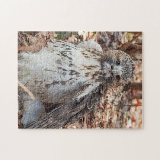 Red Tail Hawk Doubled Puzzle (Horizontal)